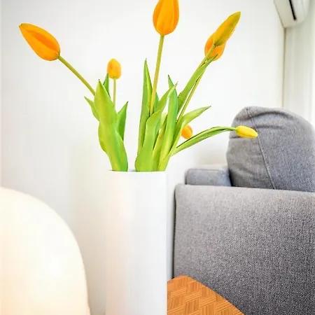 Apartamento Bom Jardim Porto